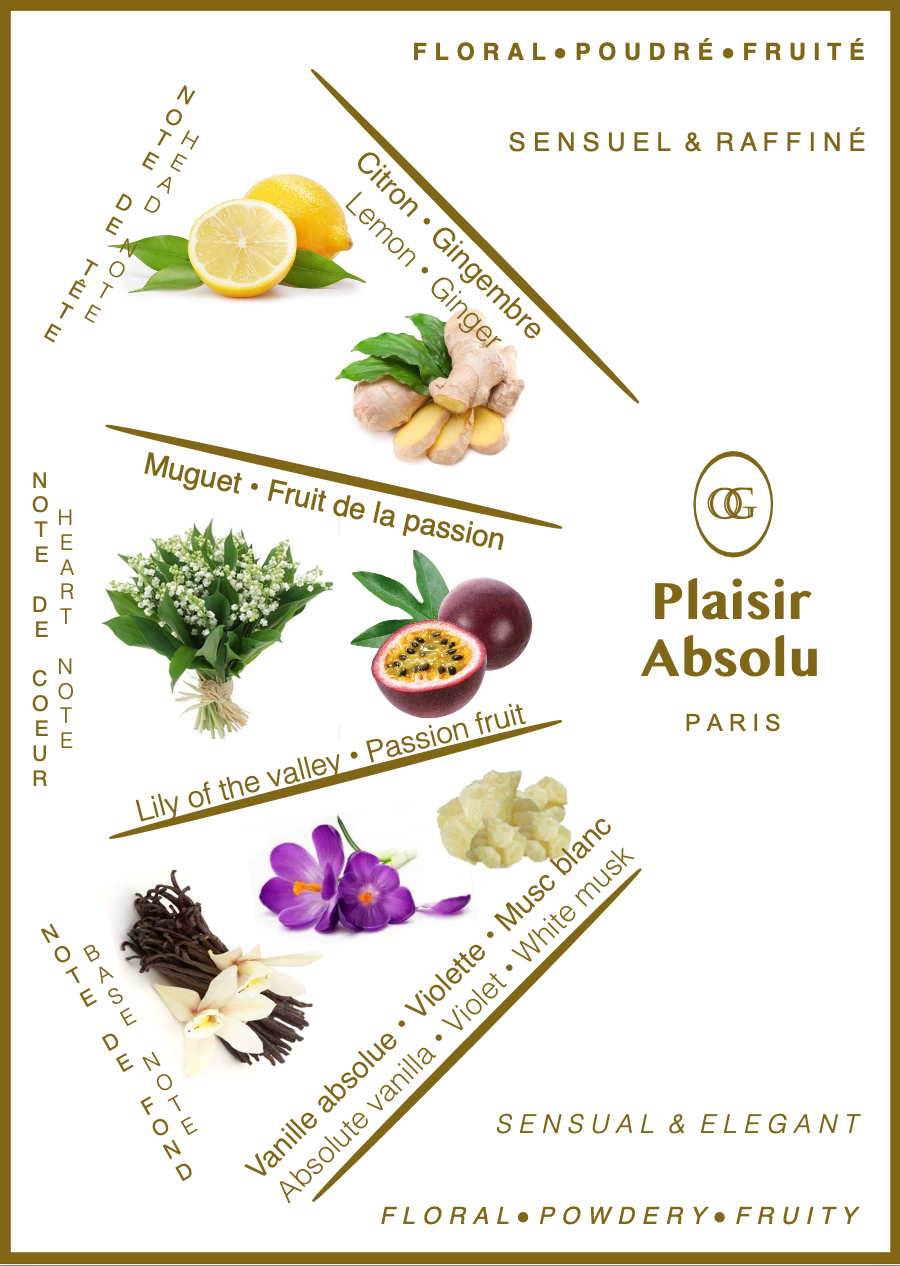 Plaisir Absolu