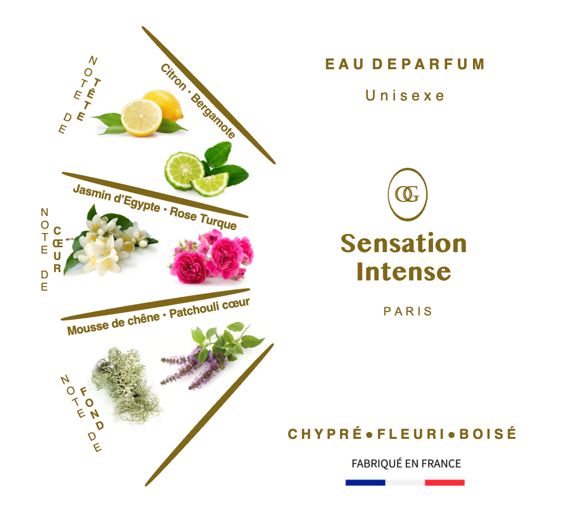 Sensation Intense