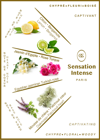 Sensation Intense